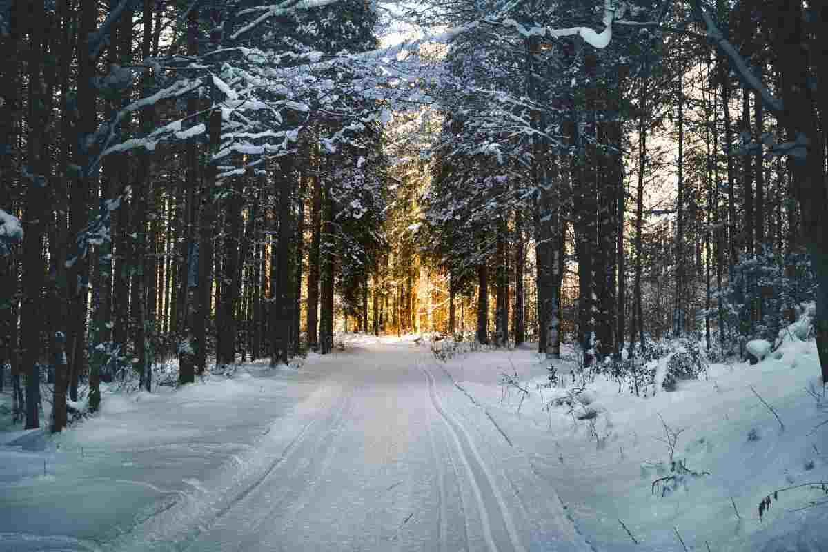 Quando inizia l'inverno nel 2025